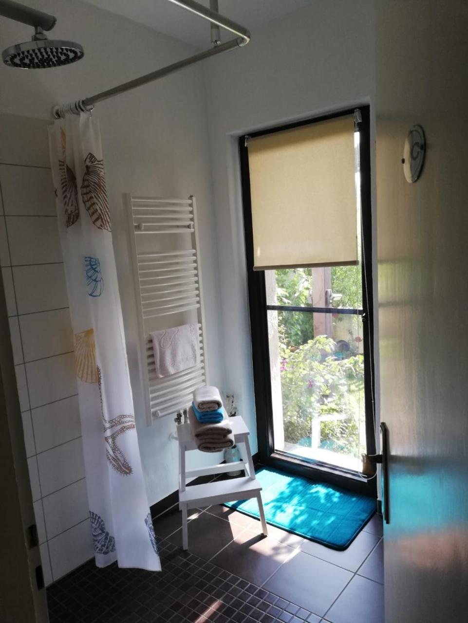 Vogt Apartment